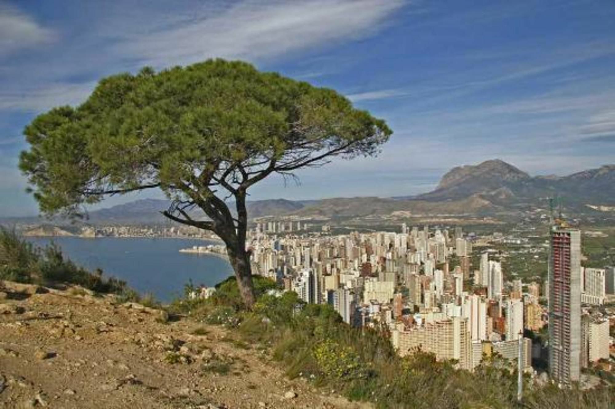 Apartment In Benidorm, Alicante 103093 By Mo *
